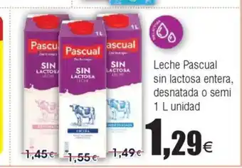 FROIZ Leche Pascual sin lactosa entera, desnatada o semi oferta