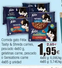 FROIZ Comida gato Félix Tasty & Shreds carnes oferta