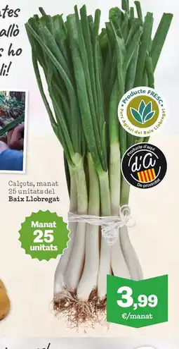 Sorli Calçots, manat 25 unitats del Baix Llobregat oferta