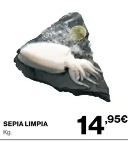 Supercor Sepia limpia oferta