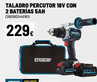 Brico Depôt Taladro percutor 18v con 2 baterías 5ah oferta