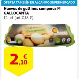 Alcampo M GALLOCANTA Huevos de gallinas camperas oferta