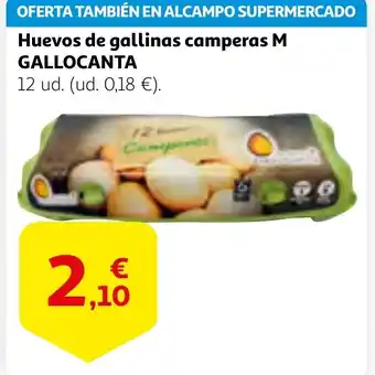 Alcampo M GALLOCANTA Huevos de gallinas camperas oferta