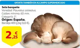 Alcampo Seta barqueta oferta