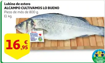 Alcampo ALCAMPO CULTIVAMOS LO BUENO Lubina de estero oferta