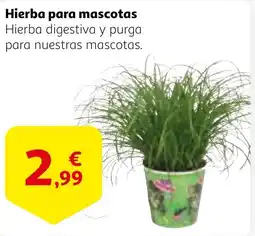 Alcampo Hierba para mascotas oferta