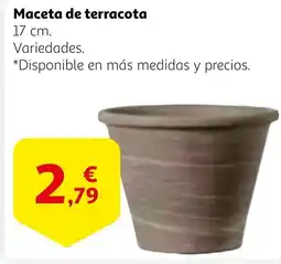 Alcampo Maceta de terracota oferta