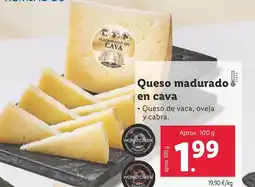 Lidl Queso madurado en cava oferta