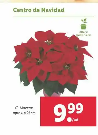 Lidl Centro de navidad oferta