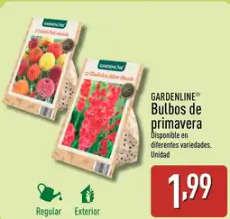 ALDI GARDENLINE® Bulbos de primavera oferta