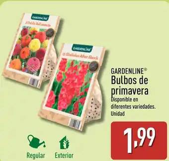 ALDI GARDENLINE® Bulbos de primavera oferta