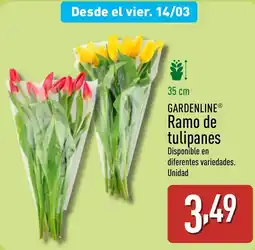 ALDI GARDENLINE® Ramo de tulipanes oferta