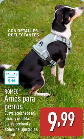 ALDI ROMEO® Arnés para perros oferta