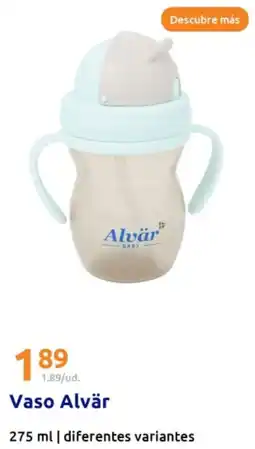 Action ALVAR Vaso oferta