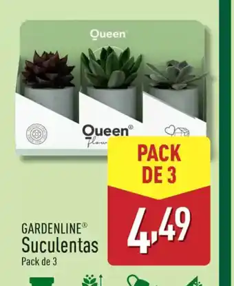 ALDI GARDENLINE Suculentas oferta