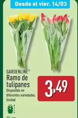 ALDI GARDENLINE Ramo de tulipanes oferta