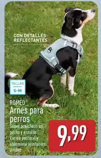 ALDI ROMEO Arnés para perros oferta