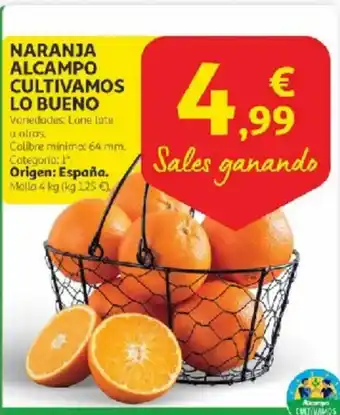 Alcampo Naranja alcampo cultivamos lo bueno oferta