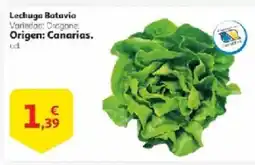 Alcampo Lechuga Batavia oferta