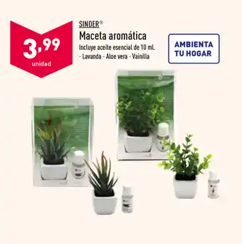 ALDI Sinder Maceta aromática 10ml oferta