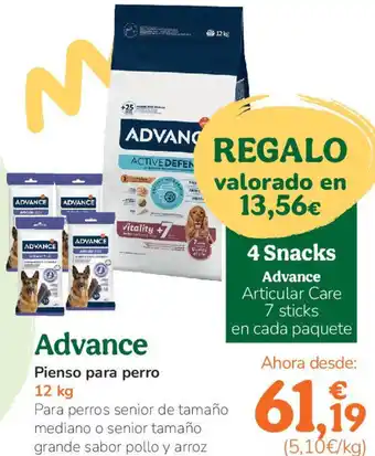 TiendAnimal ADVANCE Pienso para perro oferta