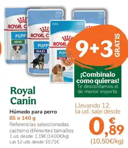 TiendAnimal ROYAL CANIN Húmedo para perro oferta