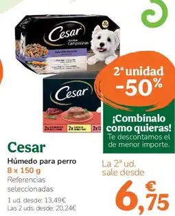 TiendAnimal CESAR Húmedo para perro oferta