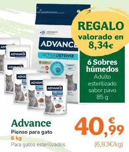 TiendAnimal ADVANCE Pienso para gato oferta