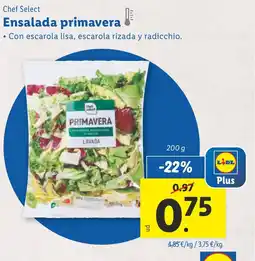 Lidl CHEF SELECT Ensalada primavera oferta