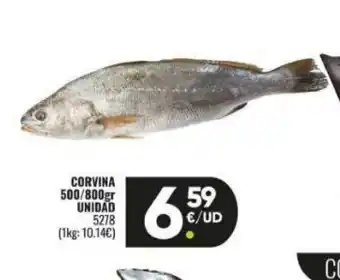 Family Cash Corvina oferta