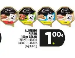 Family Cash CESAR Alimento perro oferta