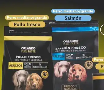 Lidl ORLANDOI PURE TASTE Croquetas para perro con salmón /pollo fresco oferta