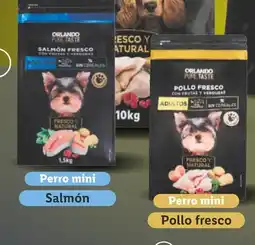 Lidl ORLANDO PURE TASTE Croquetas para perro con salmón / pollo fresco oferta