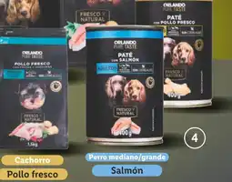 Lidl ORLANDO Paté para perro oferta