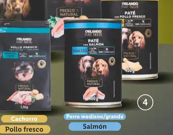 Lidl ORLANDO Paté para perro oferta