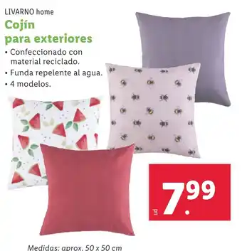 Lidl LIVARNO HOME Cojín para exteriores oferta