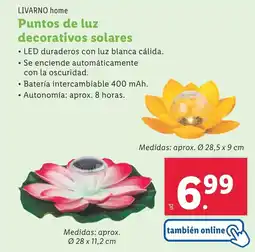 Lidl LIVARNO HOME Puntos de luz decorativos solares oferta