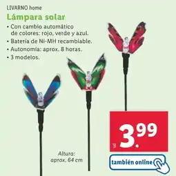 Lidl LIVARNO HOME Lámpara solar oferta