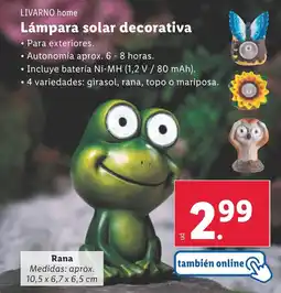 Lidl LIVARNO HOME Lámpara solar decorativa oferta