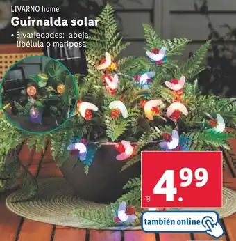 Lidl LIVARNO HOME Guirnalda solar oferta