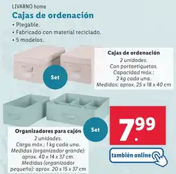 Lidl LIVARNO HOME Cajas de ordenación oferta