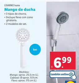 Lidl LIVARNO HOME Mango de ducha oferta