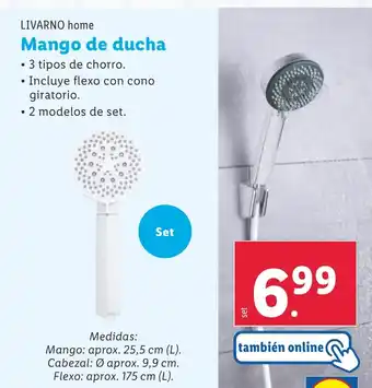 Lidl LIVARNO HOME Mango de ducha oferta