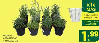 HiperDino Hierbas aromáticas + maceta oferta