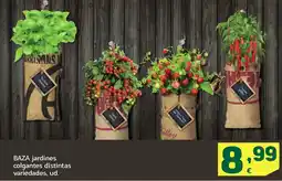 HiperDino BAZA jardines colgantes distintas variedades oferta