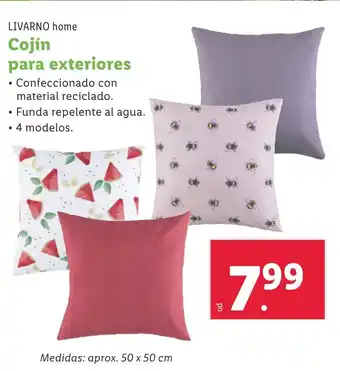 Lidl LIVARNO HOME Cojín para exteriores oferta