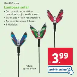 Lidl LIVARNO HOME Lámpara solar oferta