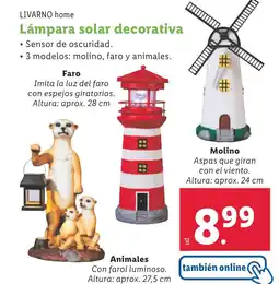 Lidl LIVARNO HOME Lámpara solar decorativa oferta