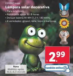 Lidl LIVARNO HOME Lámpara solar decorativa oferta