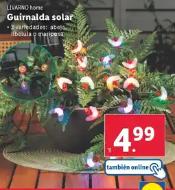 Lidl LIVARNO HOME oferta